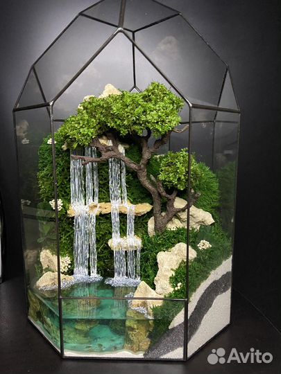 Флорариум с Деревом