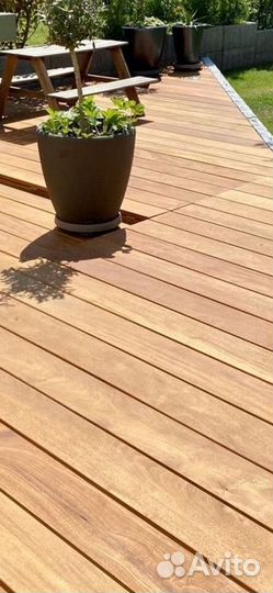 Планкен гарапа PPM-9880