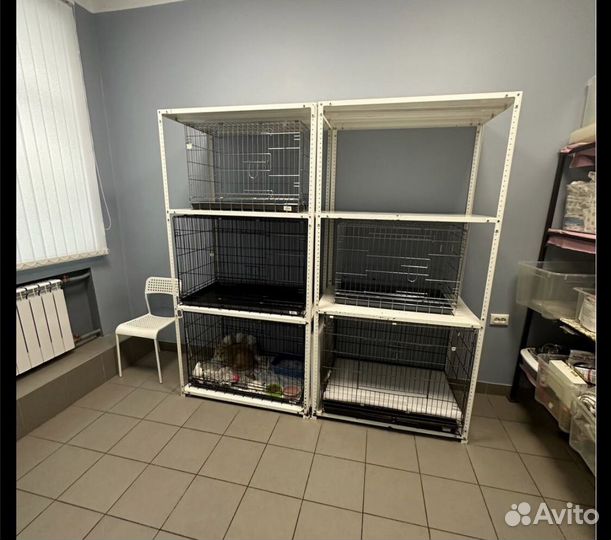 Передержка животных