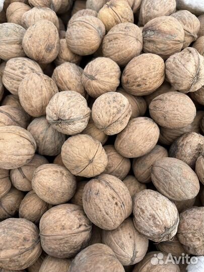 Орех грецкий