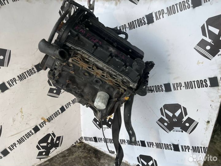 Двигатель F16D3 контракгный