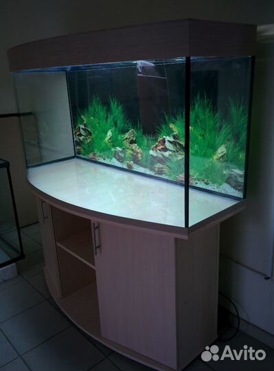 Аквариум 480 полукруглый, биофильтр, свет, тумба