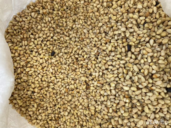 Ядро кедрового ореха, 2 сорт