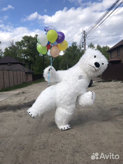 Ростовая кукла Белый мишка поздравление