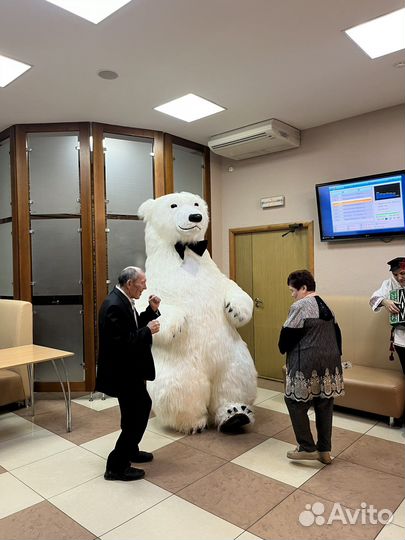 Белый мишка