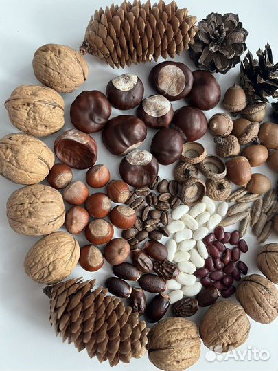 Набор монтессори