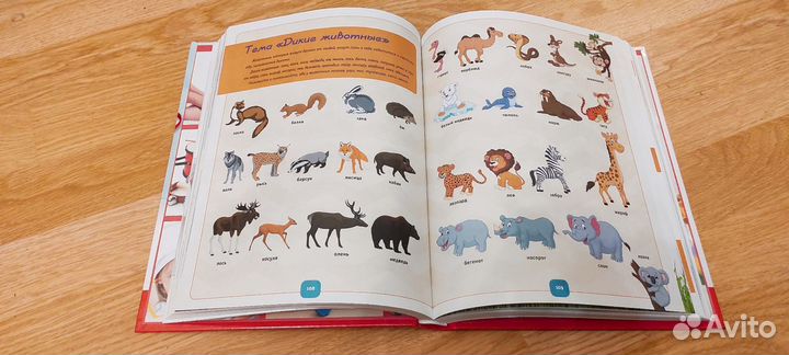 Ирина Чеснова 