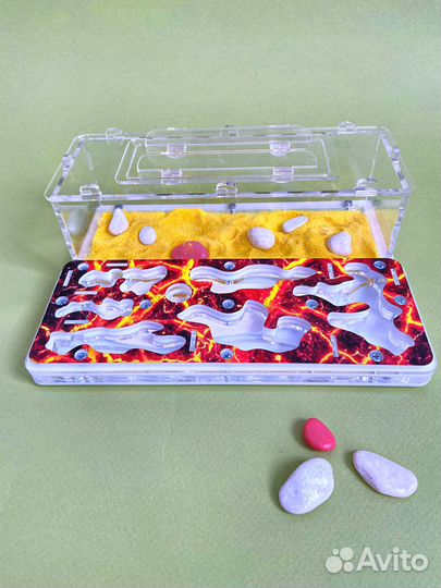 Муравьиная ферма с муравьями