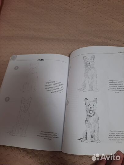 Книга уроки рисования