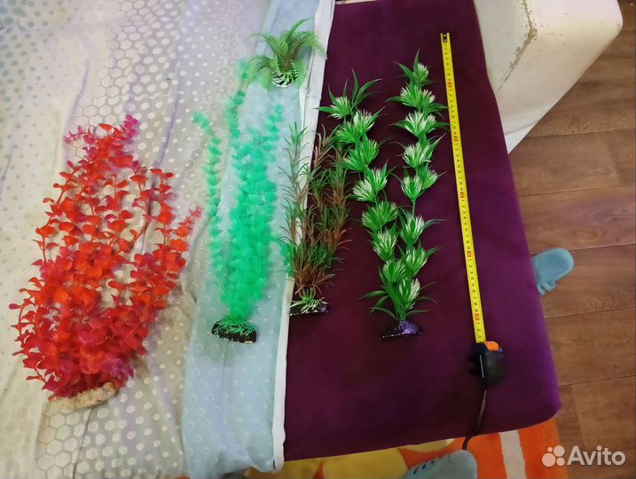 Растения для аквариума