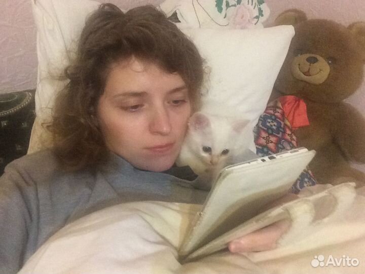 Выгул собак, зооняня, ситтер