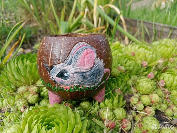 Кружка из кокоса 