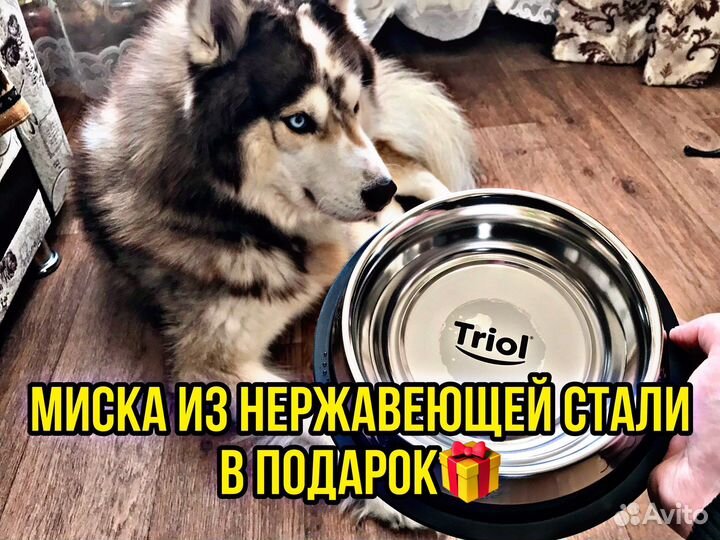 Клетка для собак