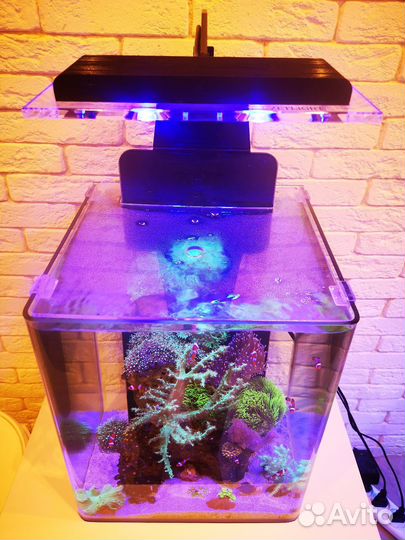 Морской готовый аквариум