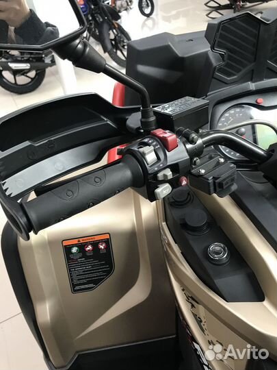 Снегоболотоход aodes Pathcross 1000L MUD PRO EPS