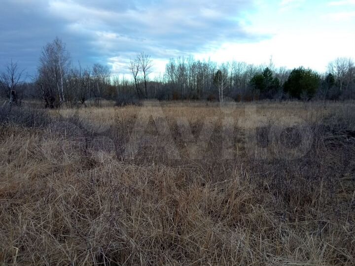 Участок 6 сот. (ИЖС)