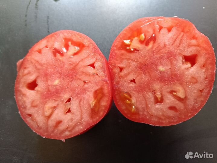 Семена коллекционных сортов томатов