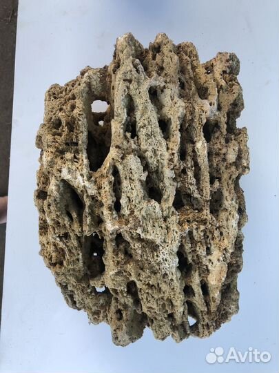 Декор для аквариума