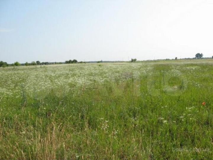 Участок 11,9 га (СНТ, ДНП)