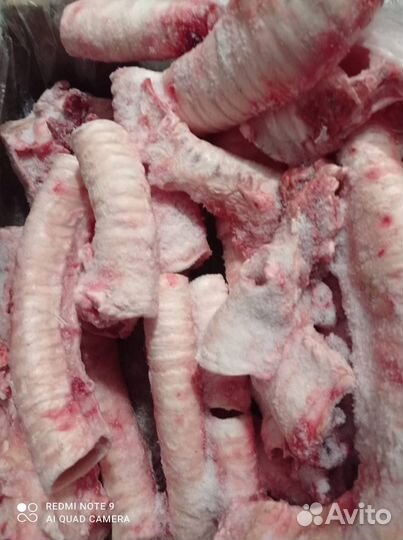 Корма для собак