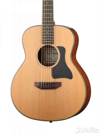P301210 Акустическая гитара Travel, Caraya