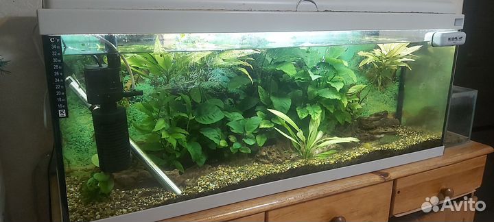 Украшение для аквариума