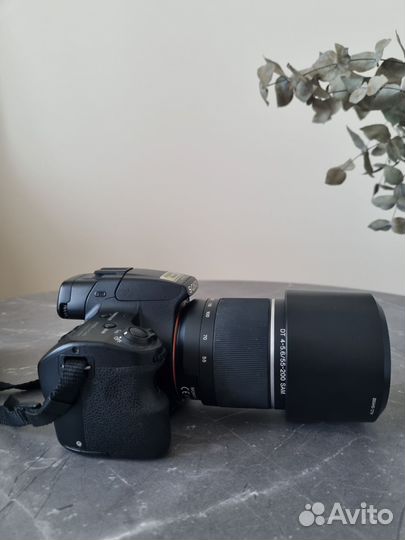 Sony slt a37