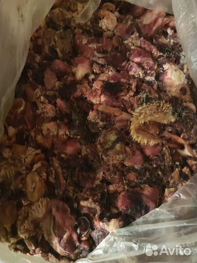 Еда для собак