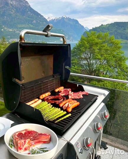 Гриль газовый genesis 2 E-310 GBS