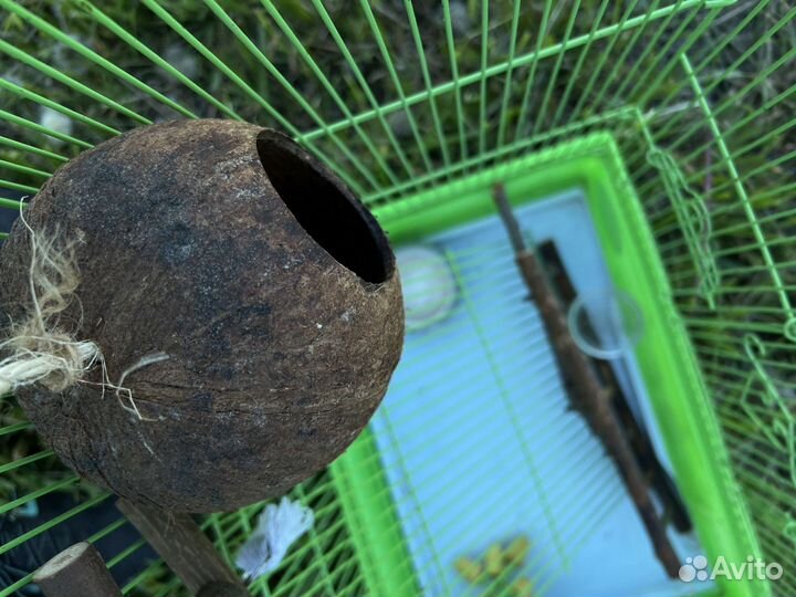 Клетка для белки летяги