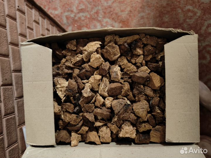 Чага кусковая