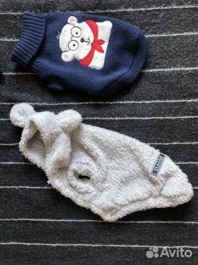 Одежда для собак мелких пород