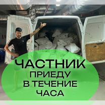 Вывоз мусора, Сочи