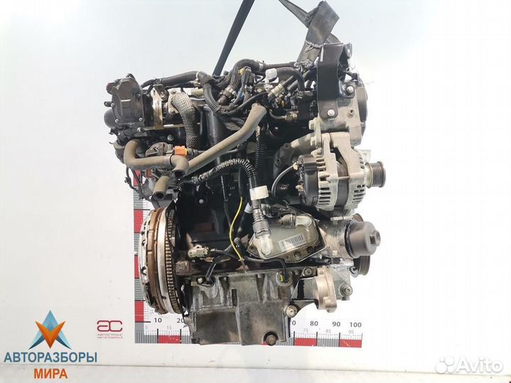 Тнвд Opel Insignia (A) 2009 55597787