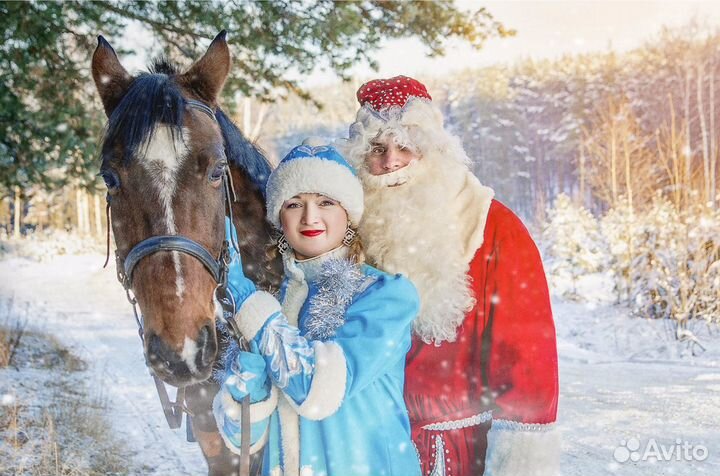Дед Мороз и Снегурочка на лошадях