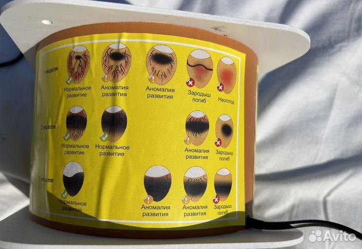 Овоскоп Несушка ов-6 на 6 яиц white