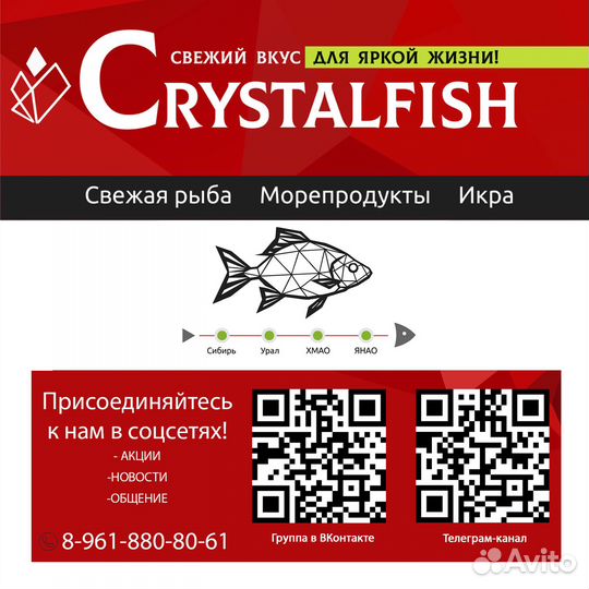 Форель свежая