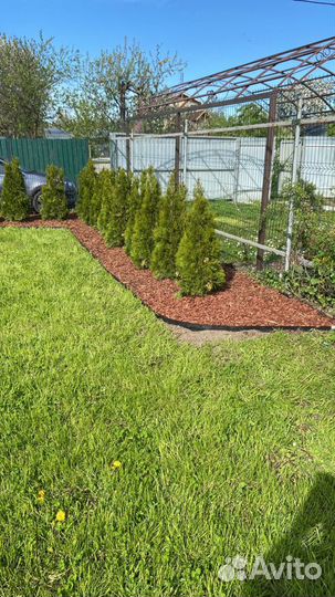 Кора мульча