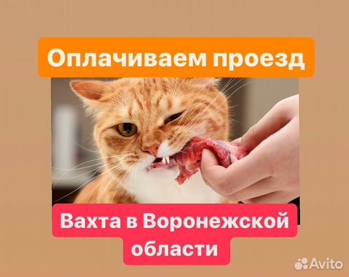 Оплата проезда.Разнорабочие вахтой в Воронеж