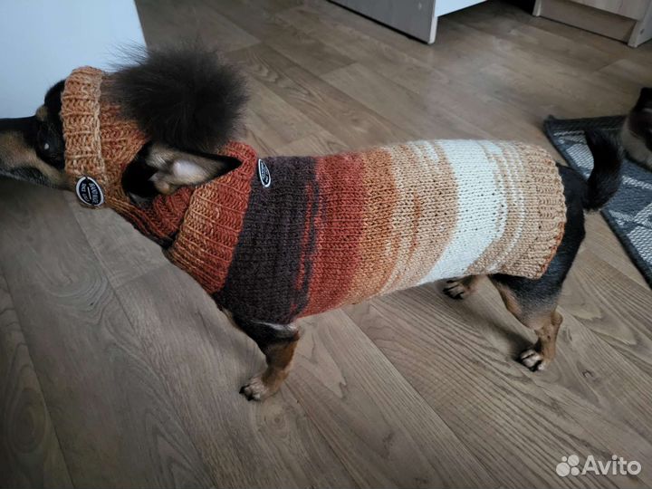 Свитер и шапка на собаку