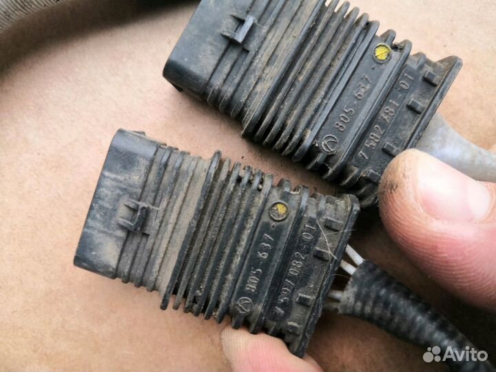 Лямдазонт BMW выпуск