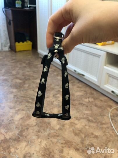 Шлейка для кошек и собак