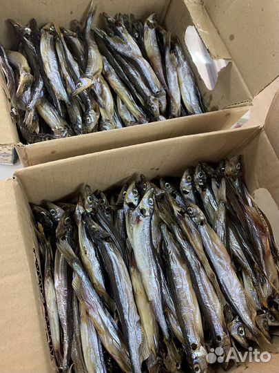 Камбала, мойва вяленая