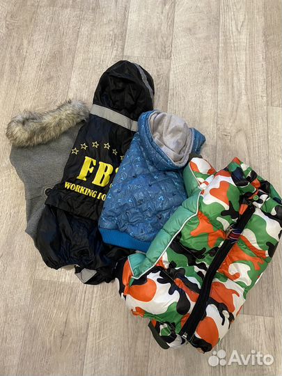 Одежда для собак