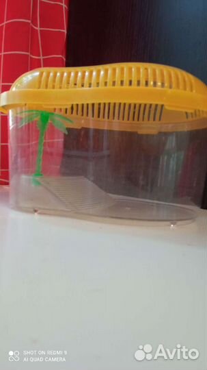 Черепашник