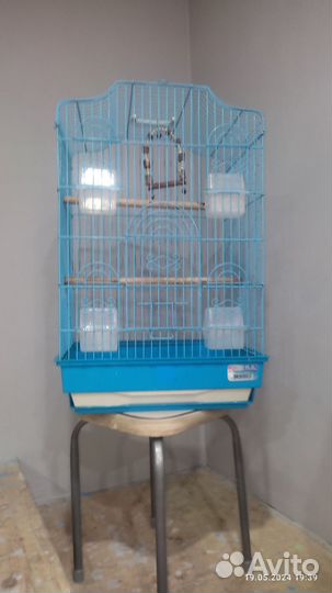 Клетка для попугая корелла