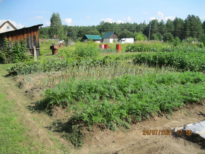 Участок 6 сот. (СНТ, ДНП)