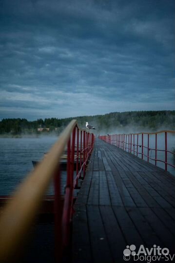 Nikon d3 Зеркальный фотоаппарат