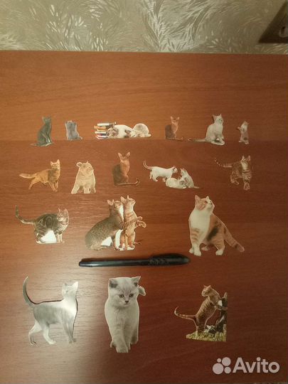 Фантики с кошками