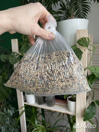 Субстрат Лечуза-пон